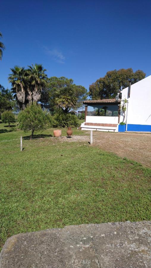 Lodge Monte Do Sobral Alcáçovas Kültér fotó
