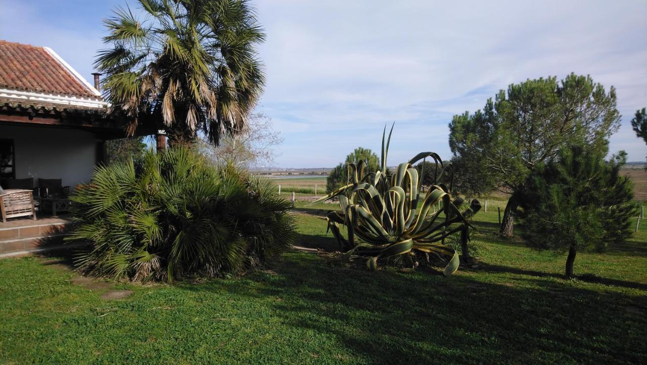 Lodge Monte Do Sobral Alcáçovas Kültér fotó