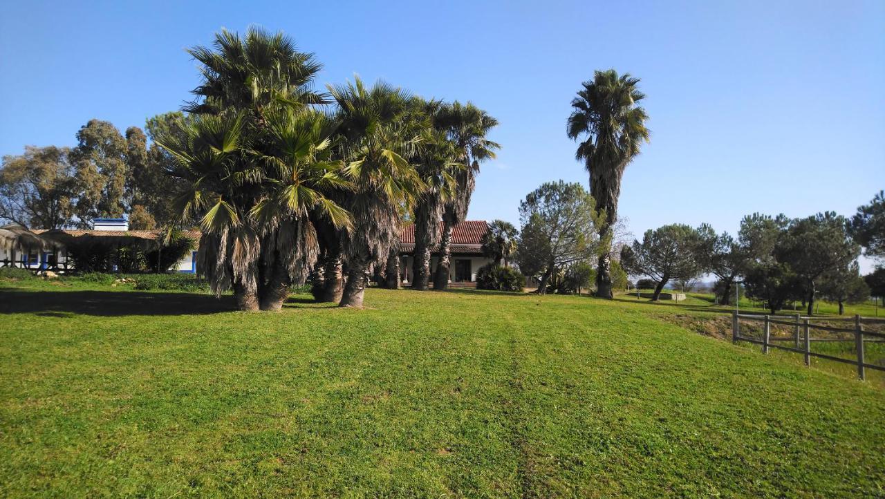 Lodge Monte Do Sobral Alcáçovas Kültér fotó