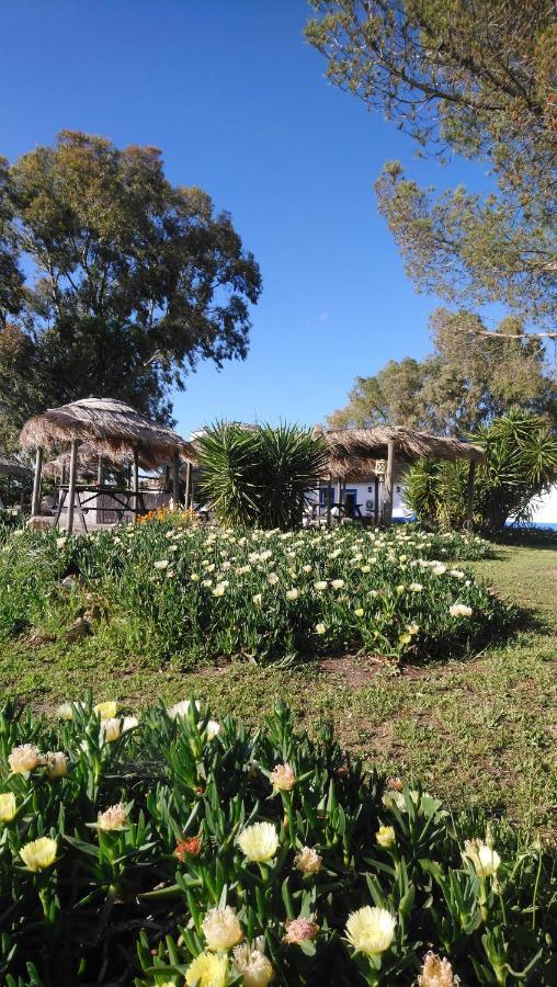 Lodge Monte Do Sobral Alcáçovas Kültér fotó